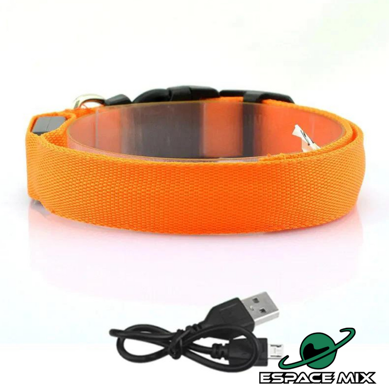 Coleira LED Para Pets