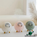 Umidificador Planet Cat