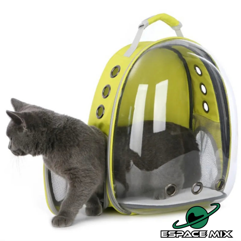 Mochila Bolha Transparente Para Gatos